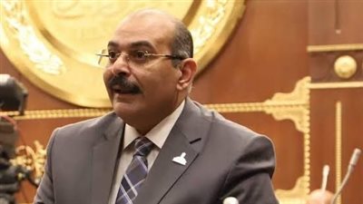 نائب يطالب الحكومة بخطة عاجلة لمواجهة انتشار ورد النيل وحماية الأمن المائي 