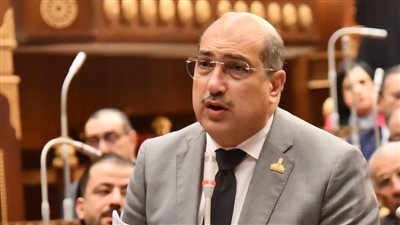 رئيس برلمانية الشعب الجمهوري بالشيوخ يؤيد زيادة المعاش مع معدل التضخم