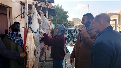 رفع 464 إشعال متنوع بالفشن وتحرير مخالفات لمستودعات وضبط لحوم ببا والواسطى 