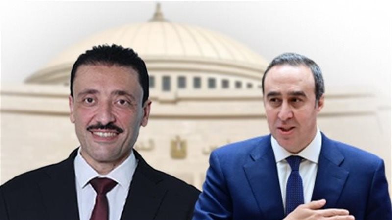 النائب محمد رزق 