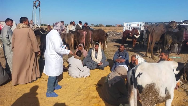جانب من المتابعة