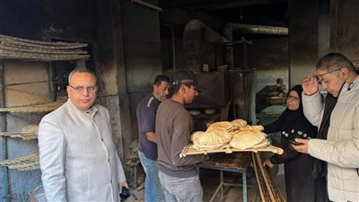 محافظ الدقهلية: تحرير 103 مخالفه في يوم واحد وضبط كميات من المنتجات