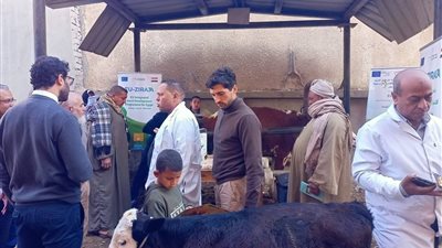 بيطرى ببنى سويف: الحملات التفتيشية مستمرة للحفاظ على صحة المواطنين