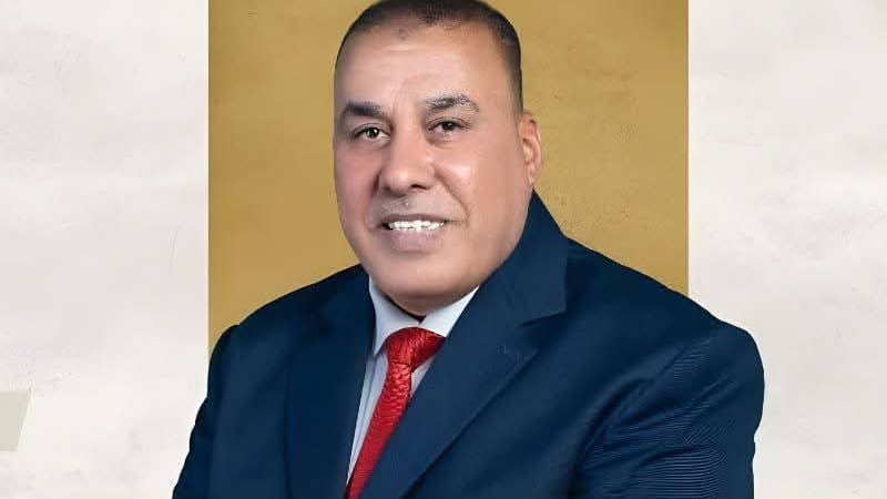 محمد أبو النصر