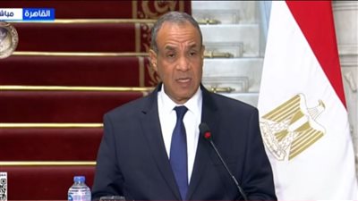 عبد العاطي: مصر تقدر جهود ترامب فيما يتعلق بإحلال الأمن واستقرار الشرق الأوسط