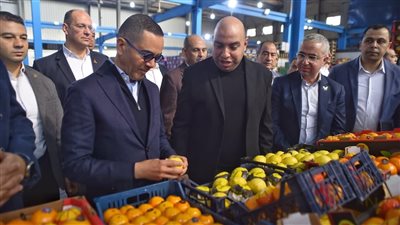 وزير الاستثمار يتفقد عدد من المصانع بالمنطقة الاستثمارية ببنها