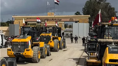 جميل عفيفي: مصر هي القوة الفاعلة في الشرق الأوسط وتسعى لإحلال السلام
