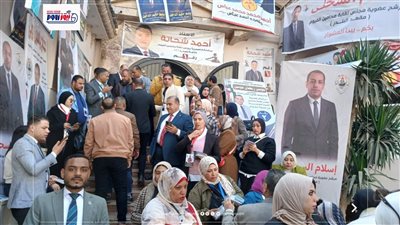 منافسة رباعية على مقعد نقيب المحامين بالفيوم و21 يتنافسون على 7 مقاعد فرعية