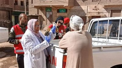 حملة لتحصين 37 كلب في حملة بيطرية في قري قوص بقنا| صور