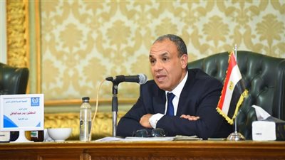 عبد العاطي: ضرورة إدخال الكميات الكافية من مواد الإغاثة إلى قطاع غزة