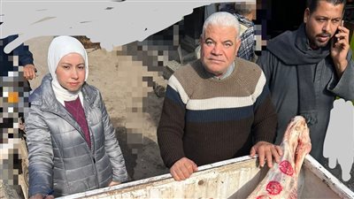 محافظ المنوفية: ضبط 5 طن ونصف لحوم ودواجن وأسماك غير صالحة للاستهلاك