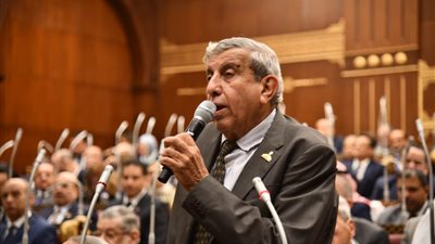 نائب بمجلس الشيوخ: نعمل على حماية المواطنين من حوادث الكلاب الضالة