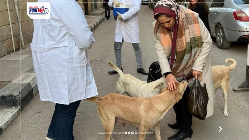 الطب البيطري بالمنيا