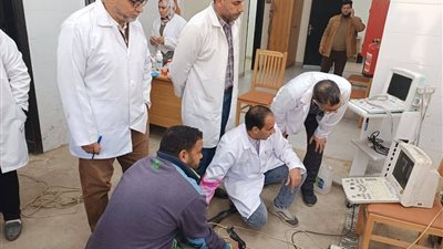 بالأرقام.. طفرة في خدمات التحسين الوراثي والرعاية البيطرية للماشية خلال ديسمبر