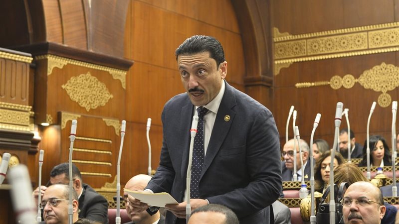 محمد رزق 