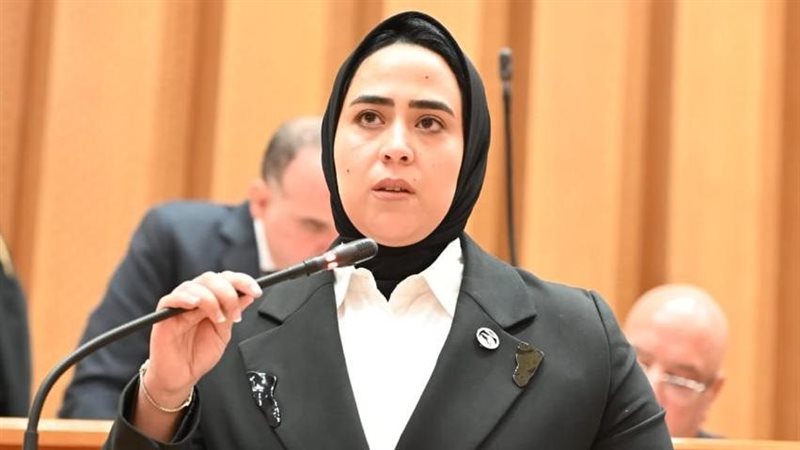 النائبة الدكتورة