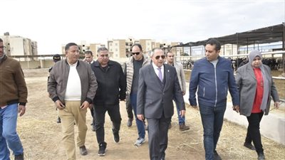300 رأس ماشية.. محافظ بورسعيد يتفقد محطة تسمين الماشية استعدادا لشهر رمضان