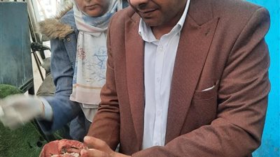 تموين السويس تشن حملات مكثفة.. ضبط 87 مخالفة ومواد غذائية فاسدة