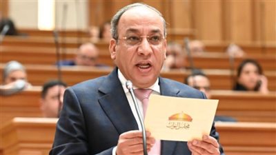 دينية النواب: ضبط محتوى الألعاب الإلكترونية ضرورة لحماية القيم الأخلاقية