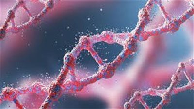 فريق بحثي أميركي يطور تقنية واعدة للتدخل الجيني عبر «RNA»