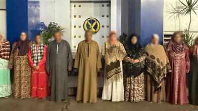 بسبب الميراث.. الأمن يكشف ملابسات مشاجرة الدقهلية ويضبط طرفيها 