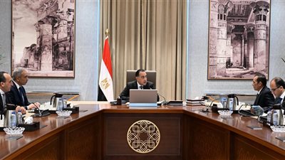 رئيس الوزراء يستعرض الموقف التنفيذي لمشروعات شركة 
