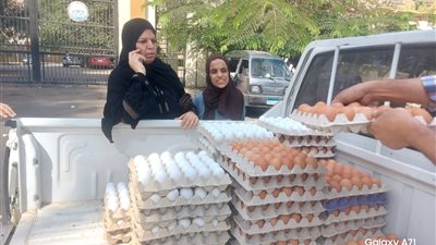 توفير بيض المائدة وطرح كميات كبيرة بأسعار مخفضة للبيع للمواطنين في المحافظات