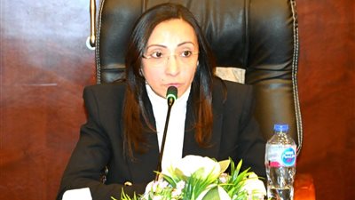 البحيرة: خطة مشتركة بين المحافظة والنواب للنهوض بالقطاع الصحي والتعليمي