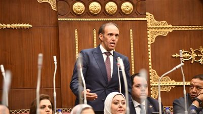محمد فريد يوجه أسئلة للحكومة حول تنفيذ الاستعراض الدوري لحقوق الإنسان