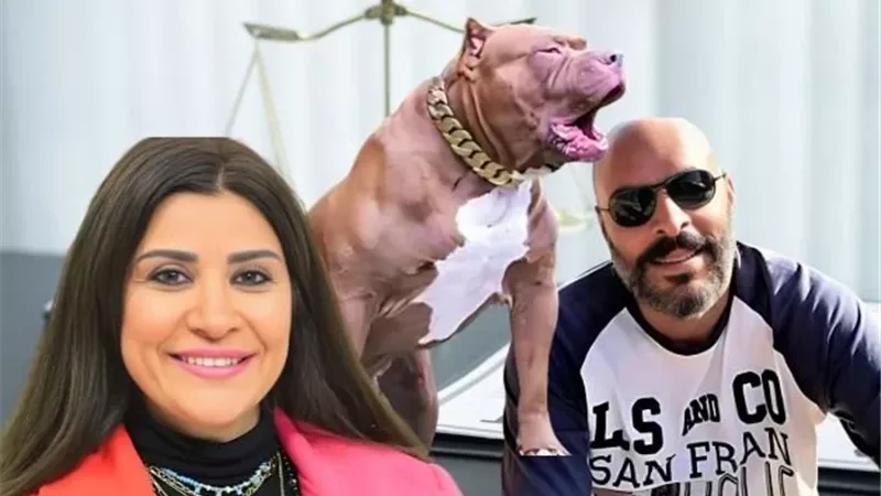 المجني عليه 