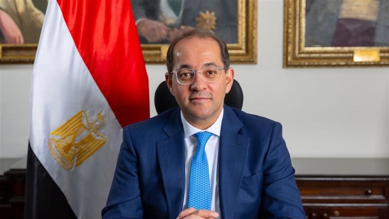 وزير المالية