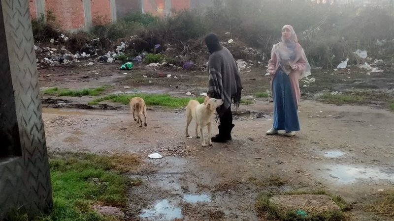 جانب من الحملة 