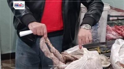 تحرير 248 مخالفة تموينية متنوعة بالمنيا بالأسواق والمخابز