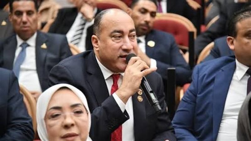 المهندس عمرو رشاد