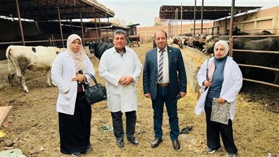 تحصين 68 ألف رأس ماشية ضد مرضي الحمى القلاعية والوادى المتصدع بالدقهلية
