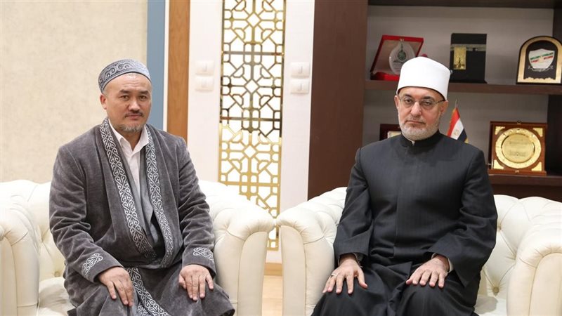 مفتي الجمهورية 