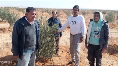 جولات ميدانية وخدمات إرشادية لـ 