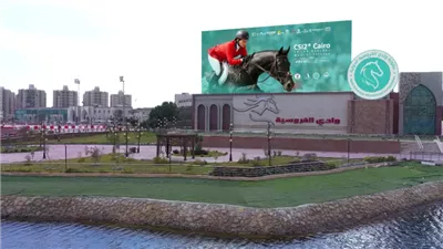 فى ذكرى ٢٥ يناير.. كيف تبني أنشطة الشرطة الرياضية جسور الثقة مع المجتمع؟