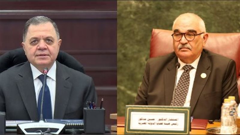  المستشار الدكتور