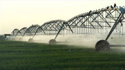 مصدر: وزير الري يتحمل مسئولية إهدار الموارد المائية في مشروع توشكى | خاص