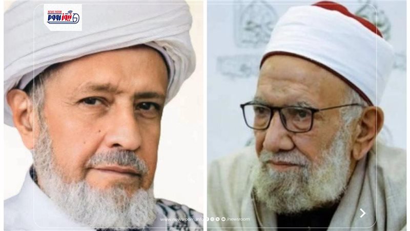 شيخا الشافعية في