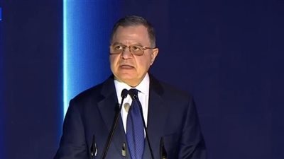 الجريدة الرسمية تنشر قرارات تجنس 42 مواطنًا بجنسيات أجنبية 