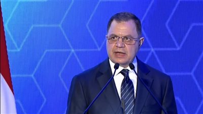 مع الاحتفاظ بالمصرية.. وزير الداخلية يوافق على تجنس 42 مواطنا بجنسيات أجنبية 