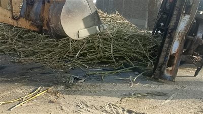 تنظيم مروري عاجل بمركز قوص لتأمين موسم عصير القصب بعد حادث مفاجئ