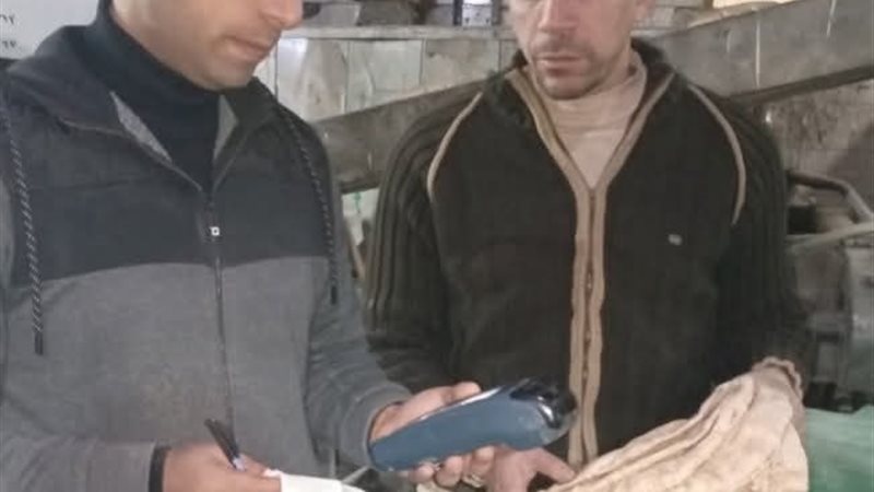 حملات تمونية مكثفة
