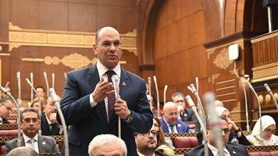 نائب: قانون المنافسة والاحتكار يعزز ضمان الأمن الدوائي ويضمن إتاحة الفرص