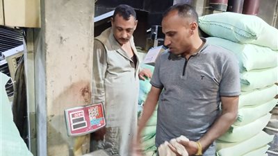 مباحث التموين بالغربية تضبط 25 مخالفة وتموينية متنوعة خلال حملة مفاجئة