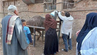علاج مئات الحيوانات والطيور في قافلة بيطرية مجانية بسمنود في الغربية