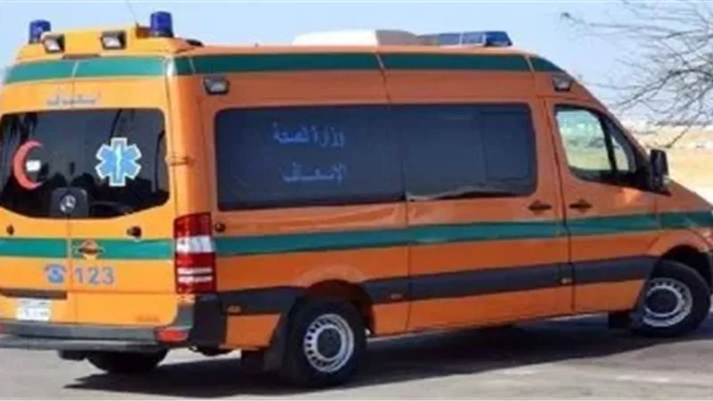 ارشيفيه