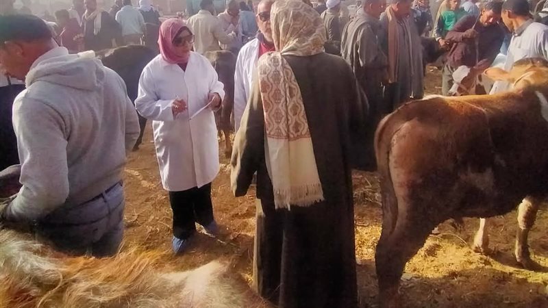 جانب من الحملة 